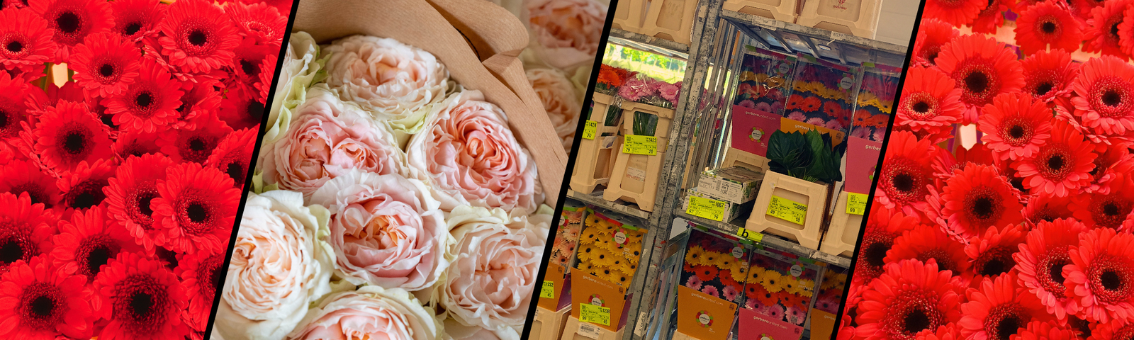 FF fresh flowers